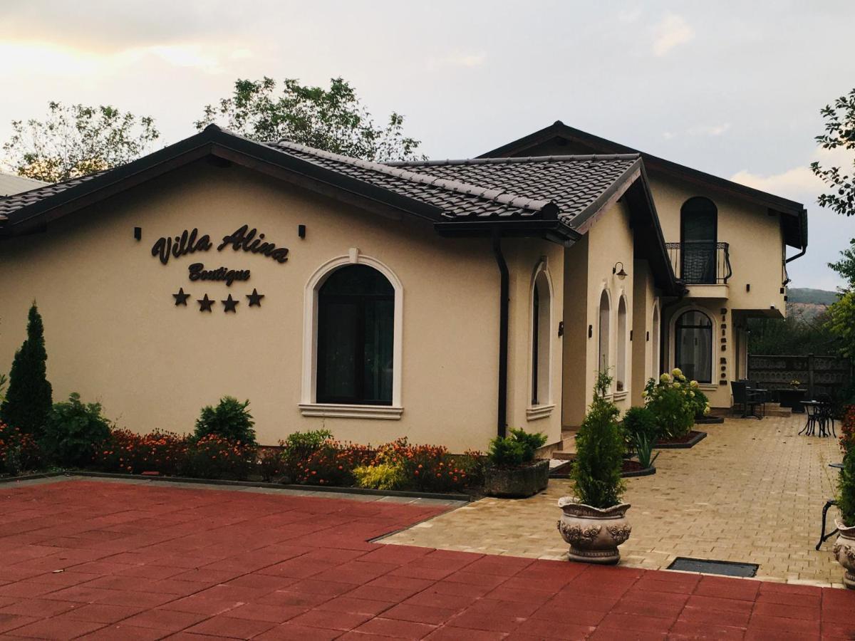 Villa Boutique Alina デヴァ エクステリア 写真